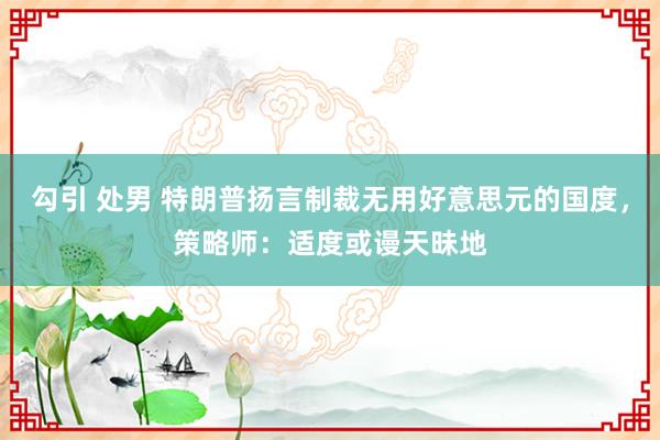 勾引 处男 特朗普扬言制裁无用好意思元的国度，策略师：适度或谩天昧地