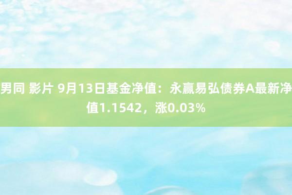 男同 影片 9月13日基金净值：永赢易弘债券A最新净值1.1542，涨0.03%