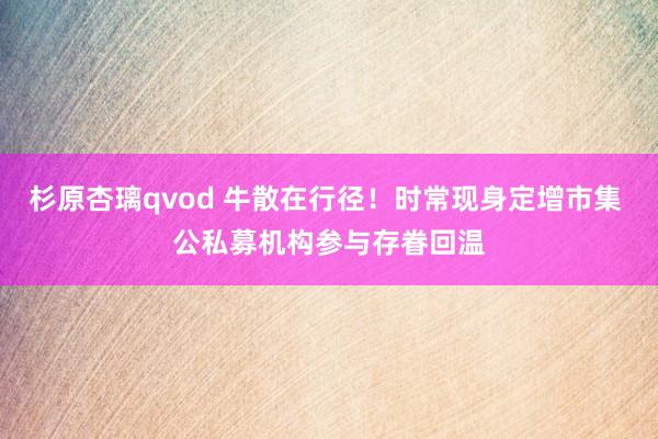 杉原杏璃qvod 牛散在行径！时常现身定增市集 公私募机构参与存眷回温