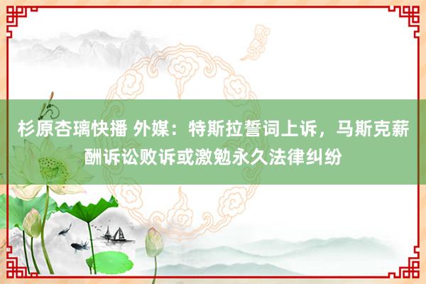 杉原杏璃快播 外媒：特斯拉誓词上诉，马斯克薪酬诉讼败诉或激勉永久法律纠纷