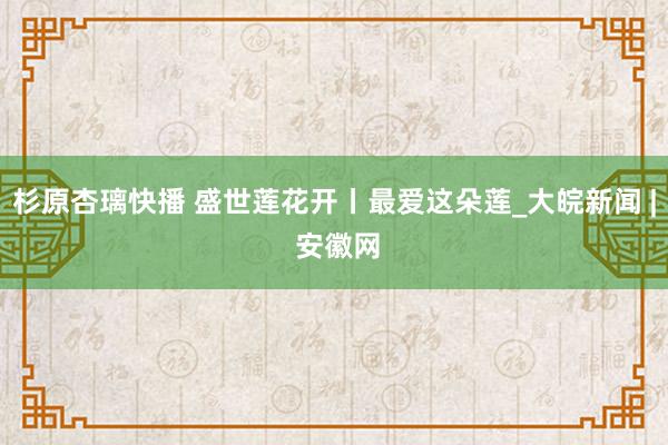 杉原杏璃快播 盛世莲花开丨最爱这朵莲_大皖新闻 | 安徽网