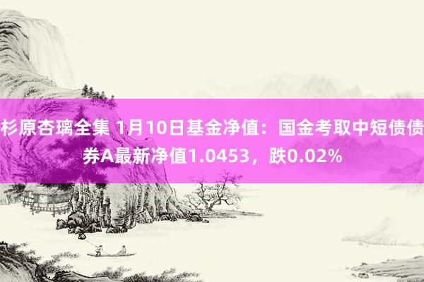 杉原杏璃全集 1月10日基金净值：国金考取中短债债券A最新净值1.0453，跌0.02%