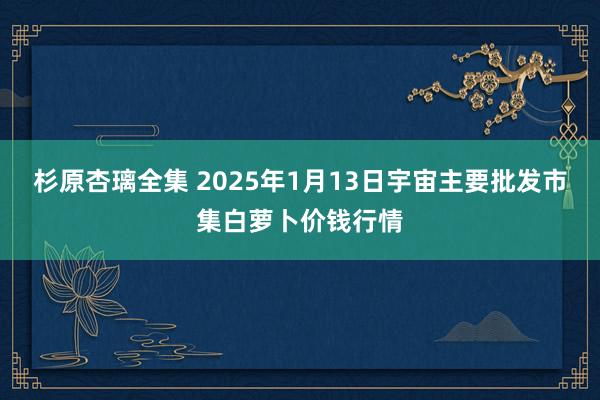 杉原杏璃全集 2025年1月13日宇宙主要批发市集白萝卜价钱行情