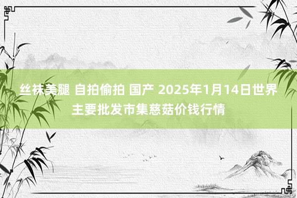 丝袜美腿 自拍偷拍 国产 2025年1月14日世界主要批发市集慈菇价钱行情