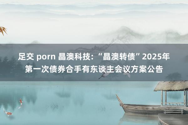 足交 porn 晶澳科技: “晶澳转债”2025年第一次债券合手有东谈主会议方案公告